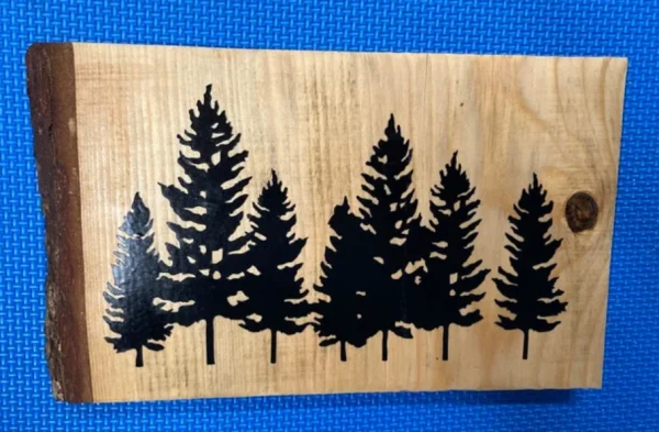 #62a Woods (11*6 in.)