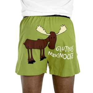 gluteusmaximoose