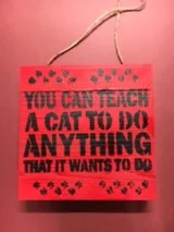 13b-you-can-teach-your-cat-to-do-anything-red-box