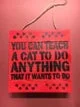 13b-you-can-teach-a-cat-to-do-anything-red-box-1010-in